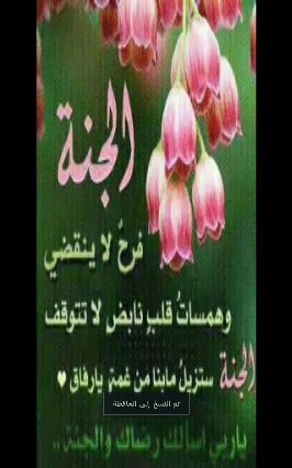 omomar56751470's profile picture. 