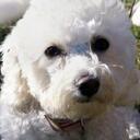 Ed Norman - @edwnorman - Twitter