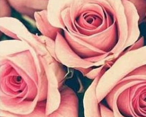 freezyxo's profile picture. hi