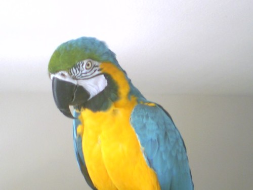 jim_vix's profile picture. Dealer in LV have been into internet marketing lots of information and ideas