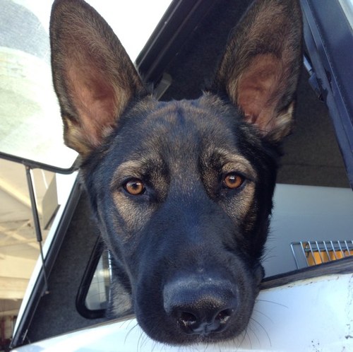 ThompsonCast's profile picture. 