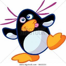 Pingouin_Fou's profile picture. Pingouin a la recherche de pingouins avec des pingouins qui sont avec des pingouins qui aiment les pingouins