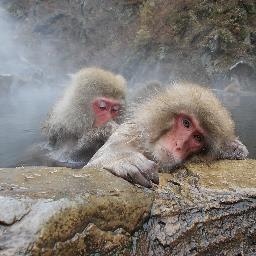 Ironmetallico's profile picture. I WANT TO BELIEVE