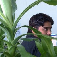 निखट्टू राजस्थानी (@indoriaanand) 's Twitter Profile