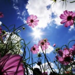 ليس كل ماأنشره يعبر عني أو عن حالتي
هي أشياء راقت لي☘