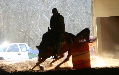 BarrelRacerInfo's profile picture. The latest news, info, tips about the barrel racing world.