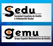 Grupo Español Multicéntrico de Uveítis Spanish Multicenter Uveitis Group