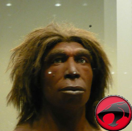 PvderMeer's profile picture. Nothing worth sharing in 140 characters!