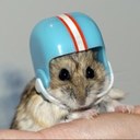 Peter - @BlueGreenIguana - Twitter