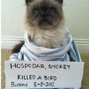 Tonya Durham - @tonyadurham - Twitter