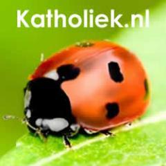 Redactieaccount https://t.co/muTcATyHNY voor rooms-katholiek nieuws en duiding