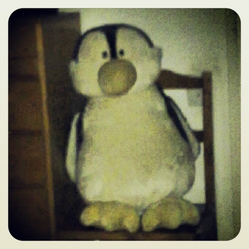 EsterAral's profile picture. 