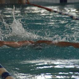 Natation !