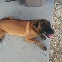 Israel Valentin - @israel_valentin - Twitter