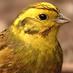 Derbyshire RG (@derbyshirerg) Twitter profile photo