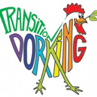 TransitionDorking (@ttdorking) 's Twitter Profile