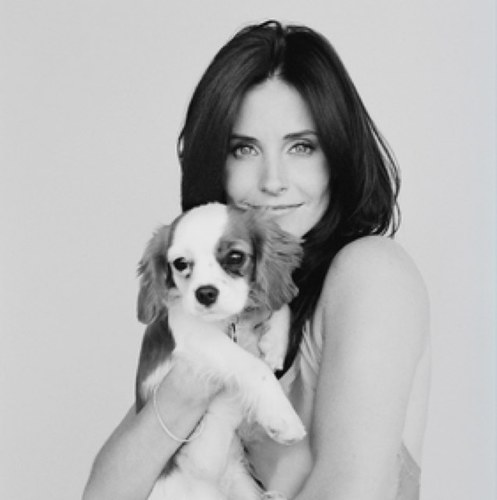 GmaiMille's profile picture. Love F•R•I•E•N•D•S (ifollowback) LOVE COURTENEY&MATTHEW❤like me or not!!