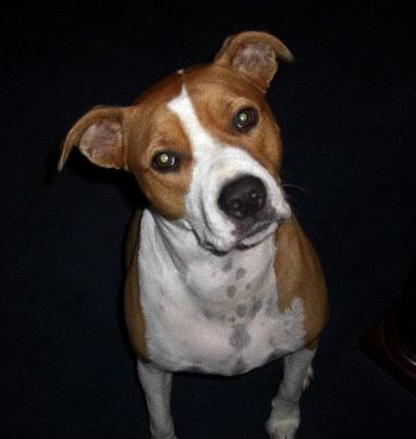 JenTutt's profile picture. 