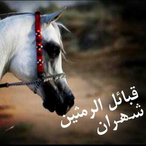 ‏‏أول حساب خاص لقبائل الرمثين شهران/ بيشه