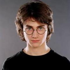 HarryPo42077876's profile picture. 