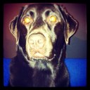 Chloe Lynch - @lyn_CJ - Twitter