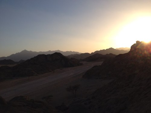 British tour company in Sharm el Sheikh & Hurghada - the number one choice for discovering Egypt.