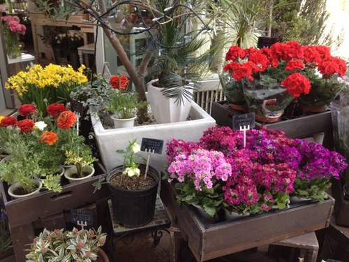 runaruna42's profile picture. 