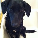 Beth LaBelle - @ealabelle - Twitter