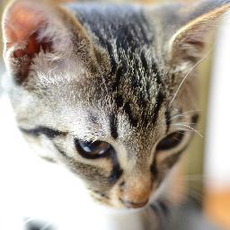n360_sdx's profile picture. 
