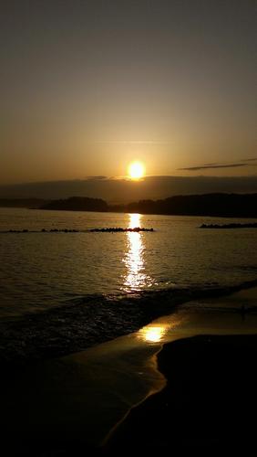 mesugori25's profile picture. 