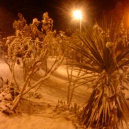 happy_jewels's profile picture. 