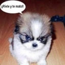 Chong Kirk - @ChongKirk - Twitter