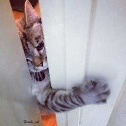 burinbuay's profile picture. 