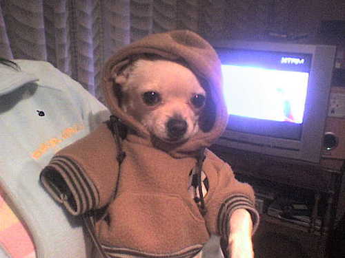 sufle_ole's profile picture. 