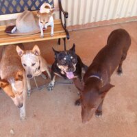 Jane (@janedelong03) 's Twitter Profile