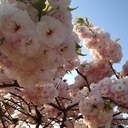 Ko-ji O-nishi (@1968Ji) Twitter