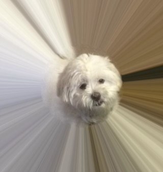 myescapes46's profile picture. 