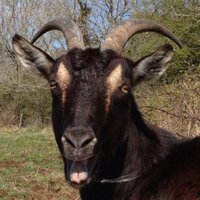 paula kirby (@paulamkirby) 's Twitter Profile