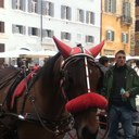 George Albert finch - @finch_albert - Twitter