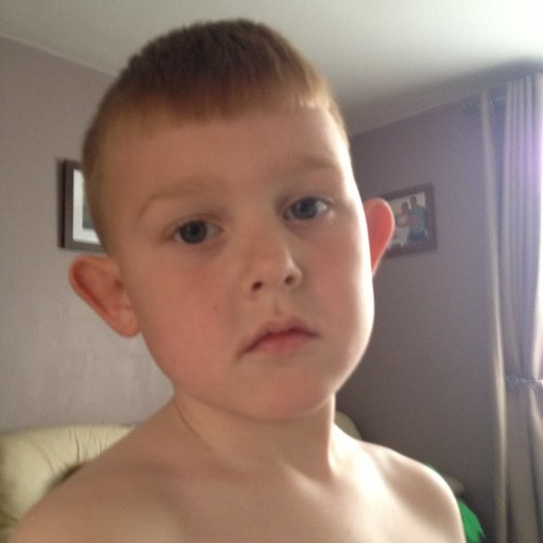 robert69bert's profile picture. 