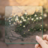 43Fatim's profile image