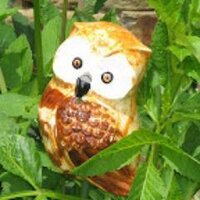 barbara mulcahy - @LittleFrenchOwl Twitter Profile Photo