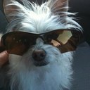 Nina Carr - @LewCarr1 - Twitter