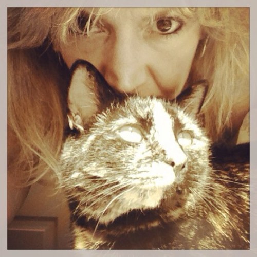 Pillman511's profile picture. Pharmacist, Photographer wannabe