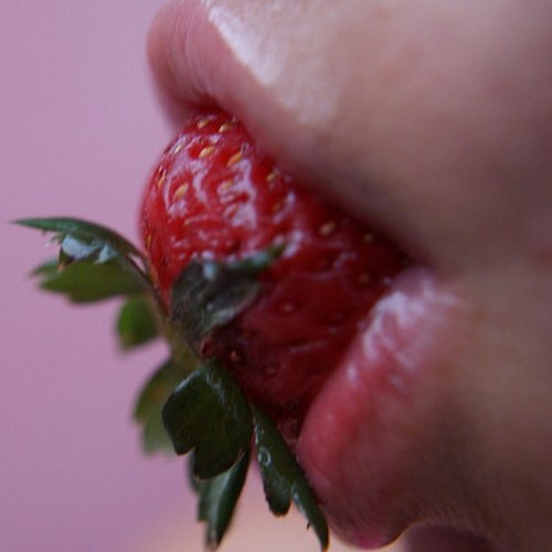 EsComida's profile picture. 