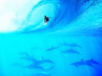 jsuarezp's profile picture. 