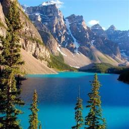 neverquiting's profile picture. living the dream best way to go, never look back