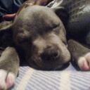 philip thorn - @philife - Twitter