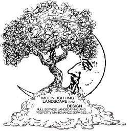 Moonlitgland's profile picture. 