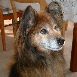 taku_game_hobby's profile picture. FF7の話で、コスタリカ人と盛り上がりました！ゲームは世界を繋ぐことを実感して感動しましたよ！
PS4、Xbox Oneと、最新ゲーム機も公開されつつありますよね！PS4$399とか、予想外の安さ！
あなたは、どんなゲームをしていますか？
気になる新作ゲーム情報や気になるネタも、ブログに日々アップしています